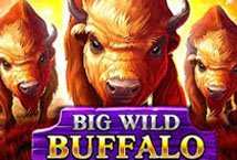 Big Wild Buffalo Slot Review